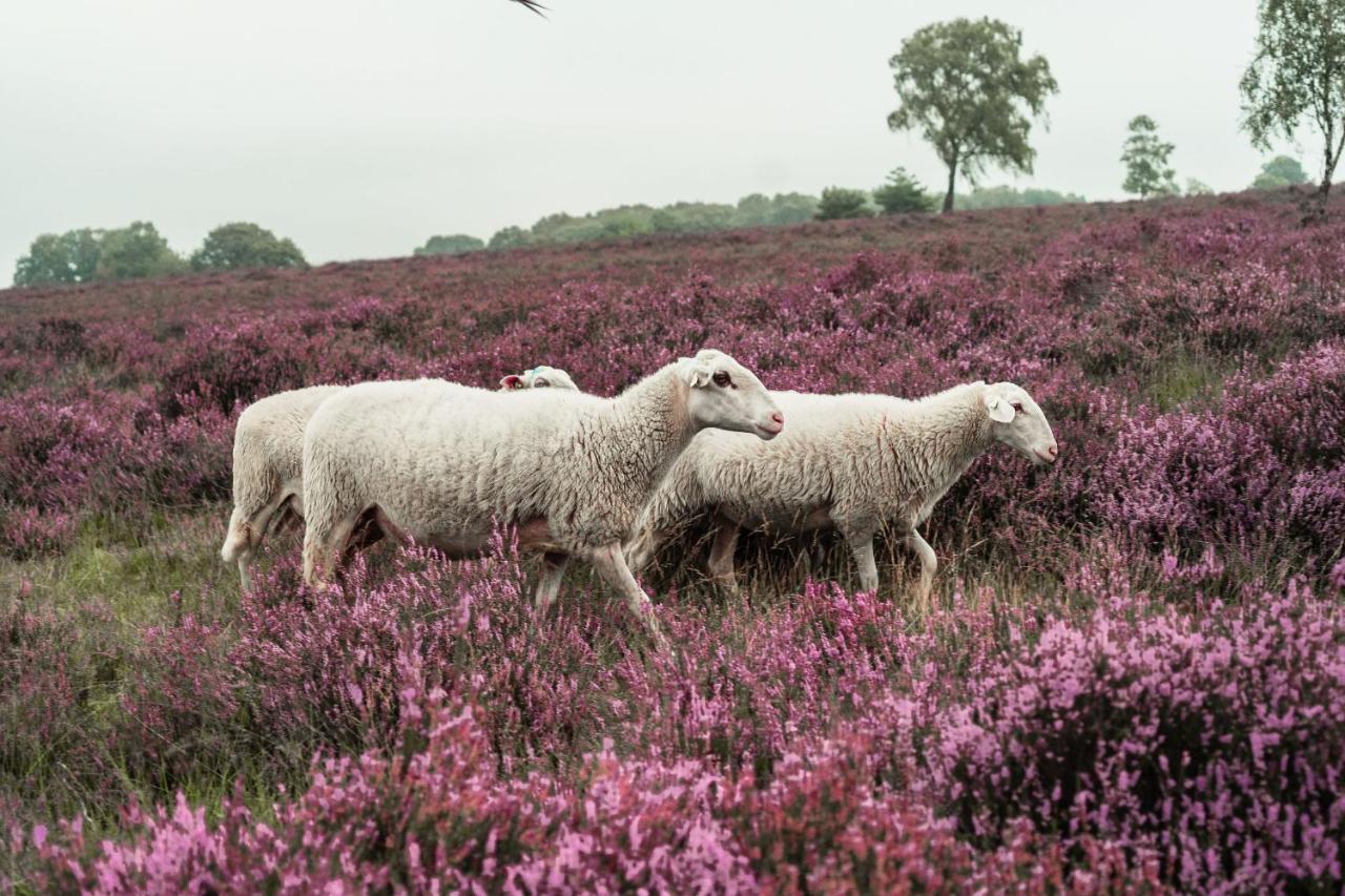 Veluwe Hotel De Beyaerd Hulshorst Kültér fotó